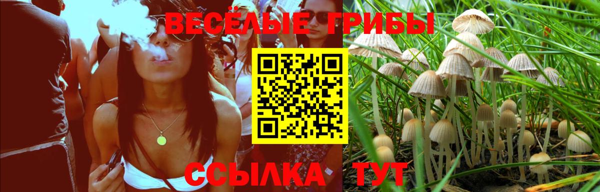 Энгельс  Галлюциногенные грибы GOLDEN TEACHER  Галлюциногенные грибы Magic Shrooms  Вход с VPN 